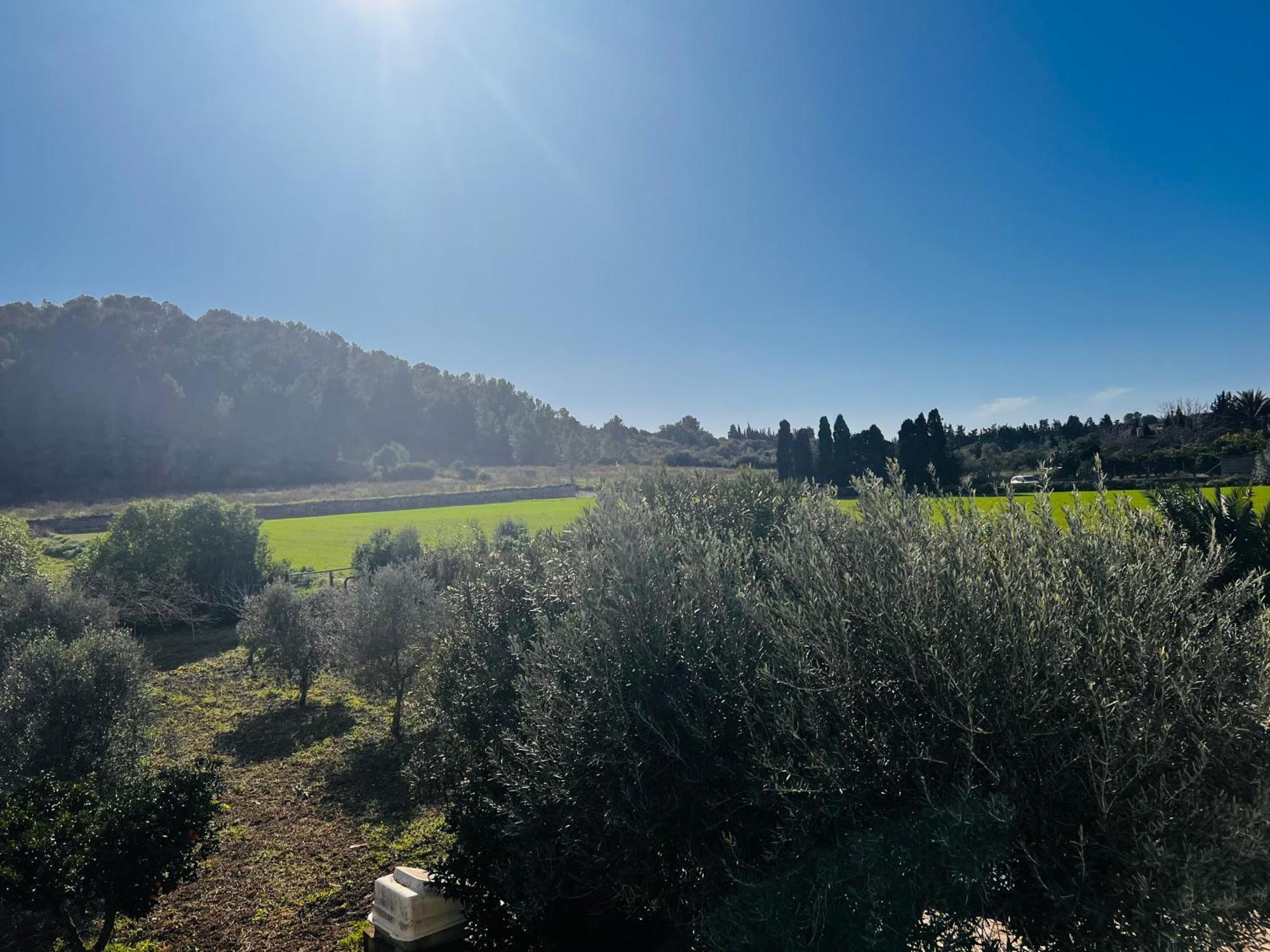 فيلا Es Puig سانتا مارجاليدا المظهر الخارجي الصورة