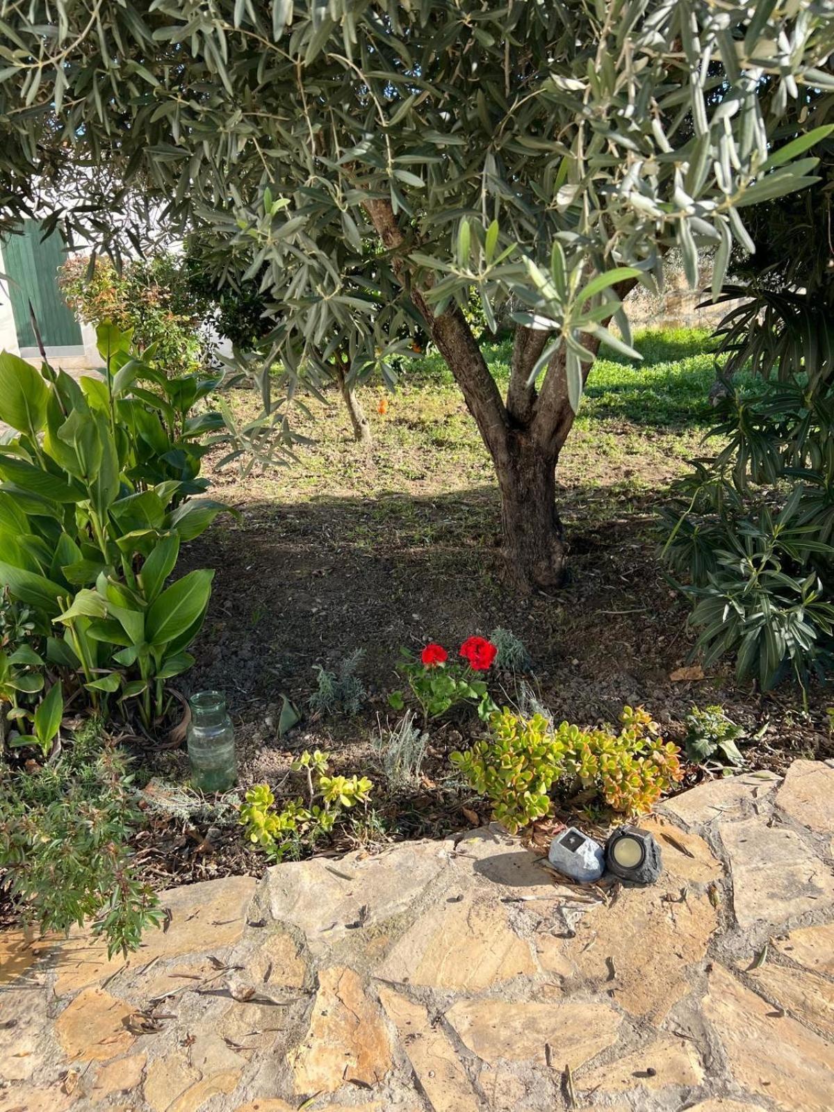 فيلا Es Puig سانتا مارجاليدا المظهر الخارجي الصورة
